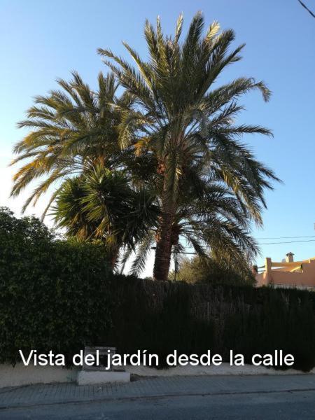 BalsaresSun & Palm Trees公寓 外观 照片