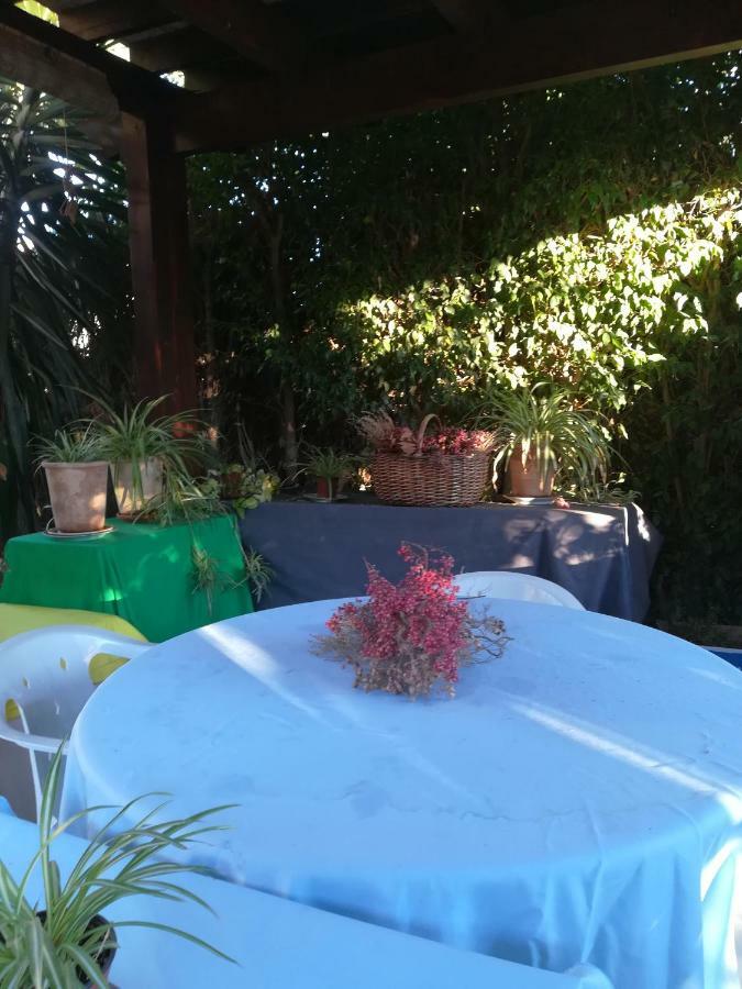 BalsaresSun & Palm Trees公寓 外观 照片