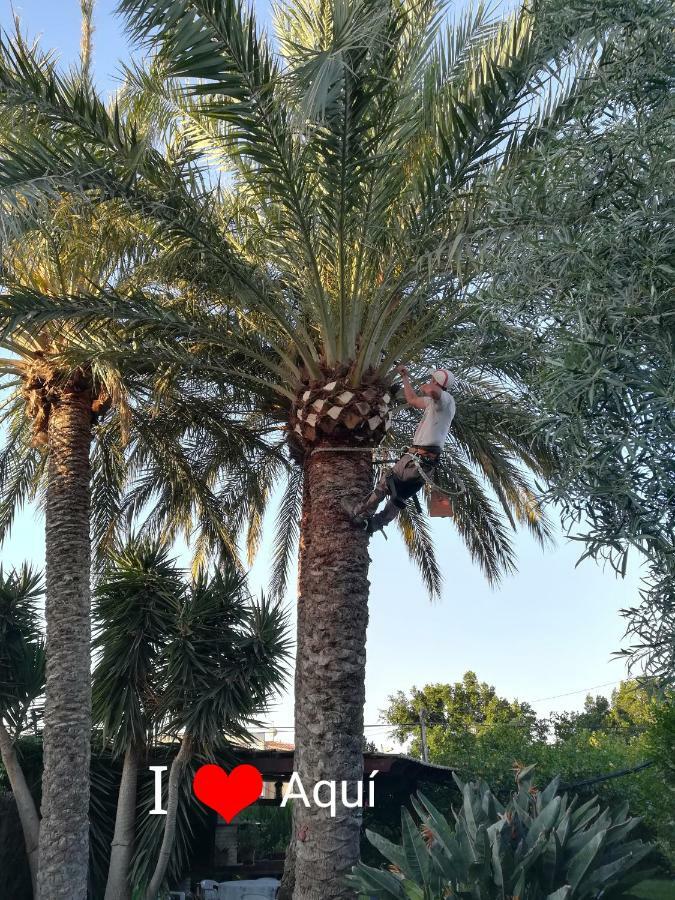 BalsaresSun & Palm Trees公寓 外观 照片