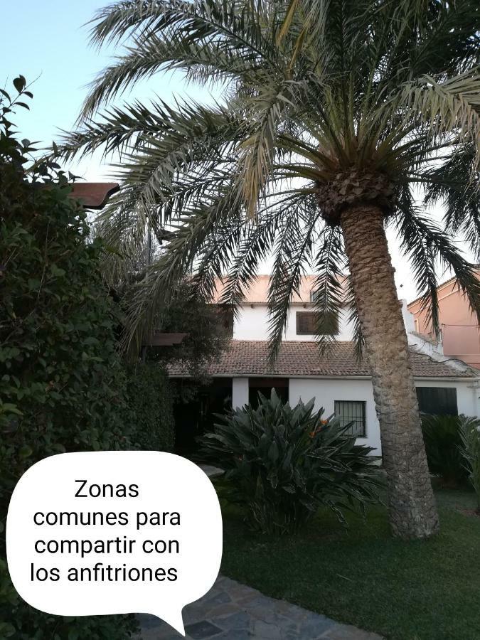 BalsaresSun & Palm Trees公寓 外观 照片